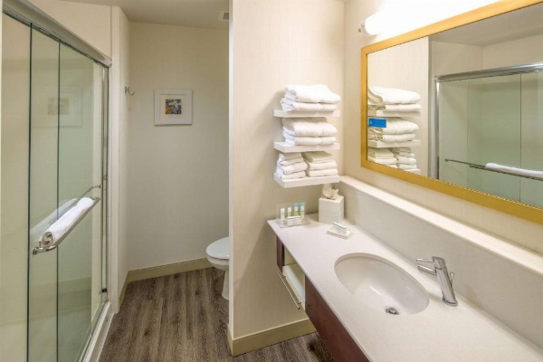 Hampton Inn Houston Downtown image 14